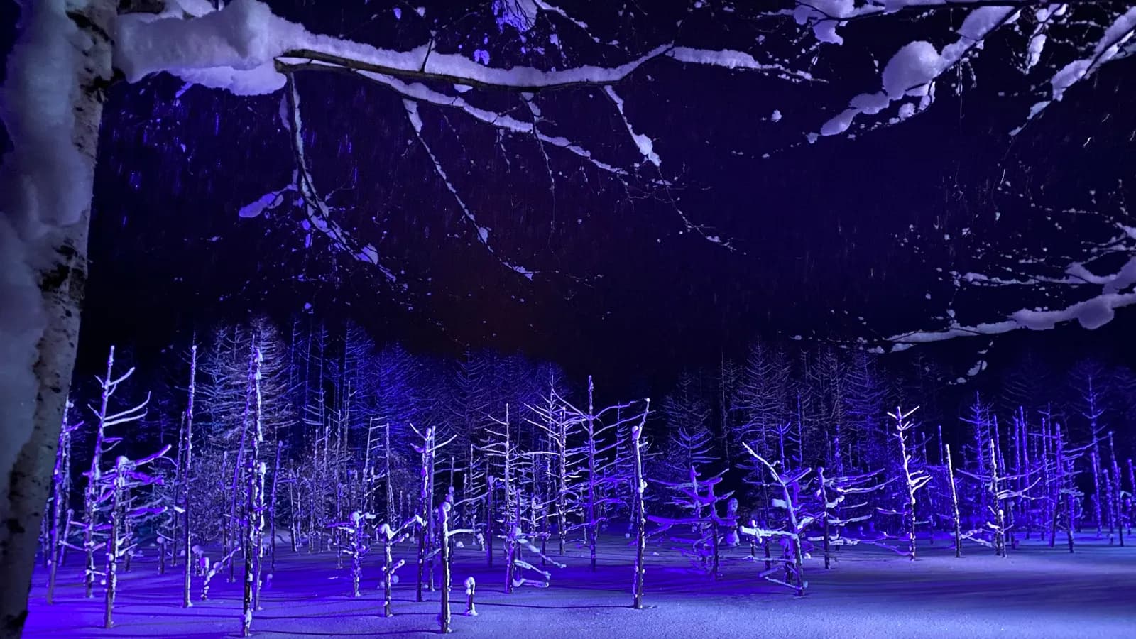 홋카이도 겨울 여행: 삿포로에서 비에이까지