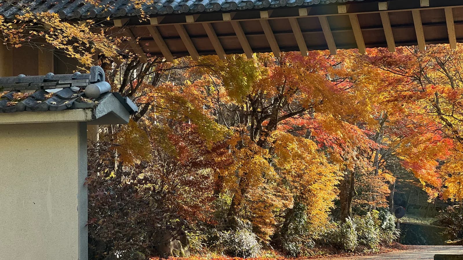 닛코 단풍 여행: 동조궁에서 이로하자카까지