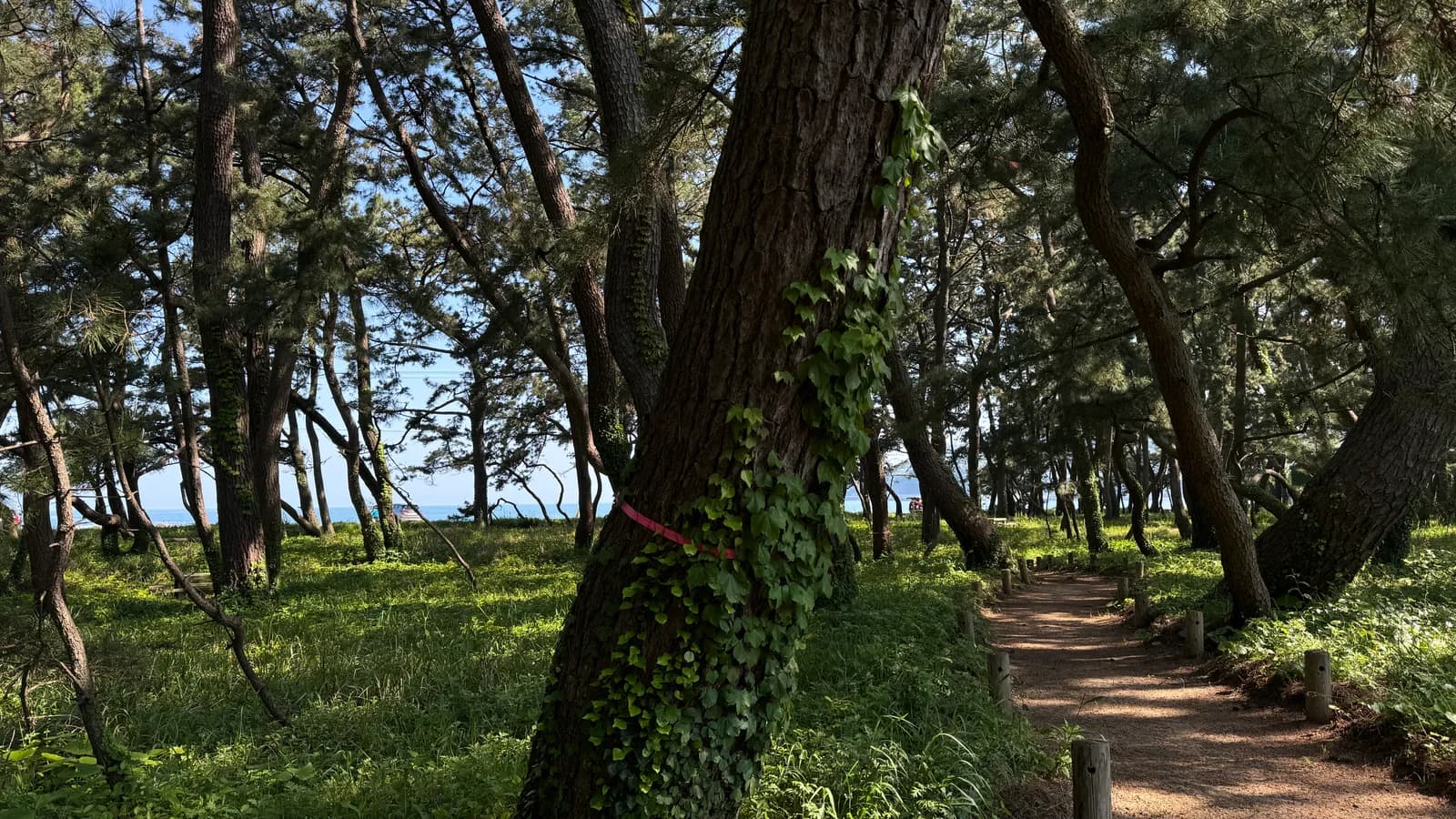 가라쓰: 바다와 도자기가 만나는 성곽도시