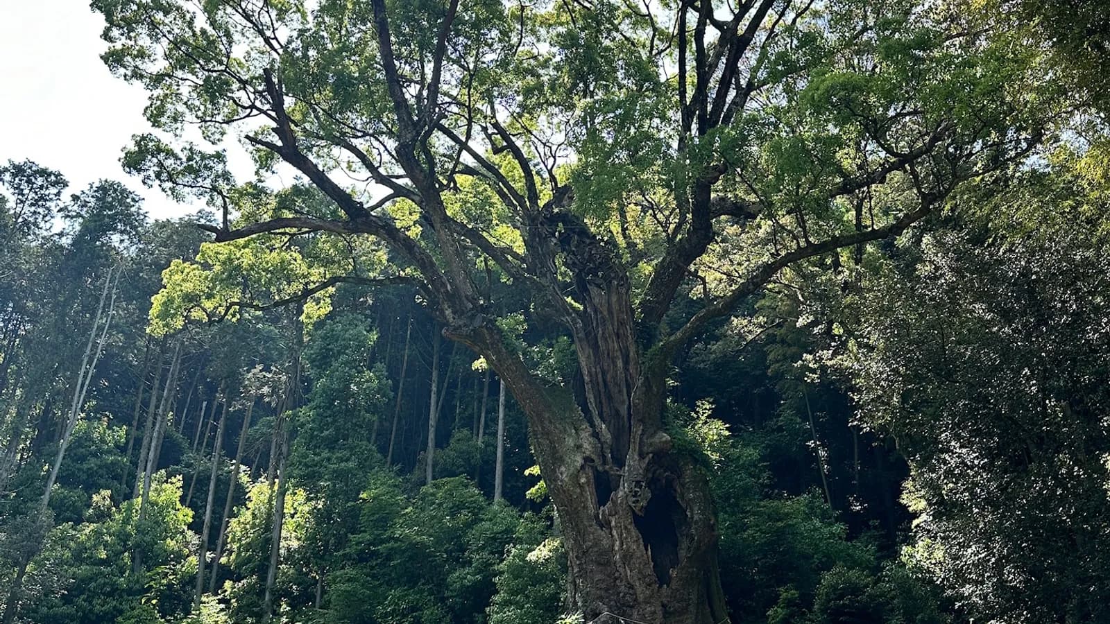 Takeo: The Humble Charm of a 1,300-Year-Old Onsen Town